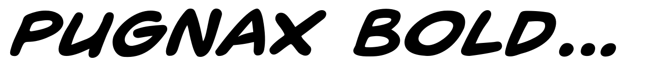 Pugnax Bold Italic